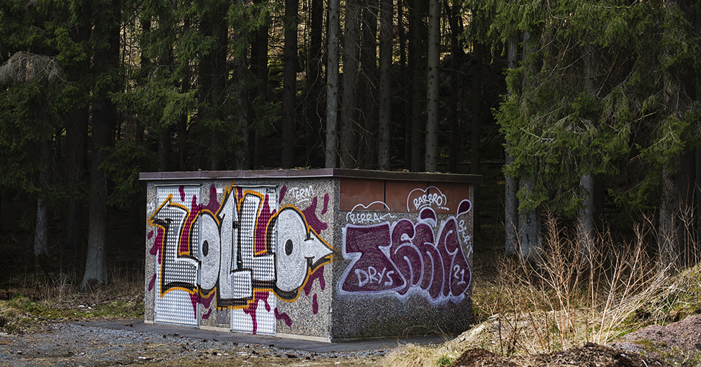 Ett foto av en skogsdunge med en byggnad för el-central som fått graffitti målat på sig.